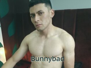 Bunnybad