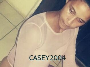 CASEY2004
