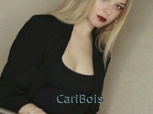 CariBois