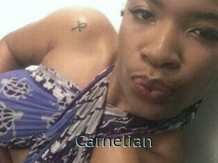 Carnelian Anal X