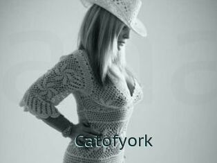 Catofyork