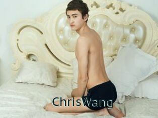 ChrisWang Anal X