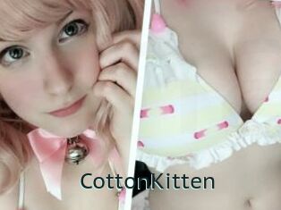 CottonKitten