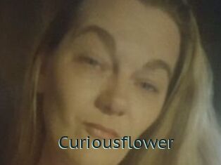 Curiousflower