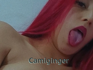 Camiginger