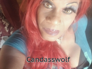 Candasswolf