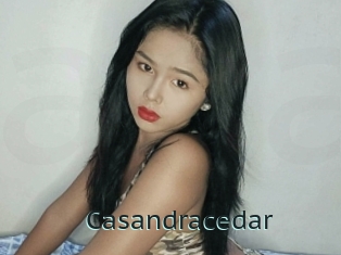 Casandracedar