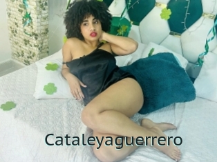 Cataleyaguerrero