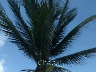 Chacul