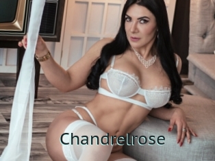 Chandrelrose