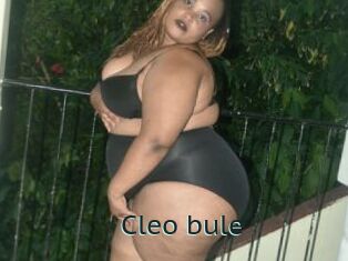 Cleo_bule
