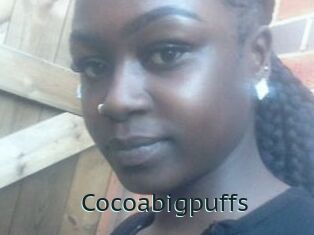 Cocoabigpuffs