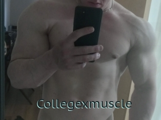 Collegexmuscle