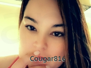 Cougar816