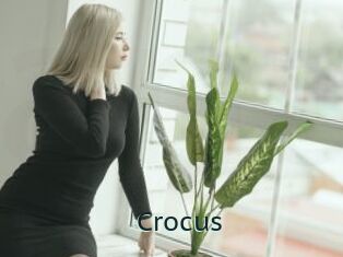 Crocus