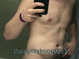 Dongkeykong0018