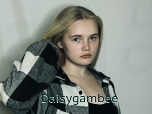 Daisygambee