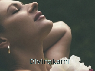 Divinakarni