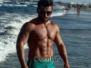 Domluc