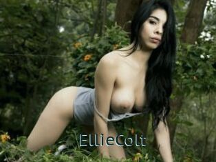 EllieColt