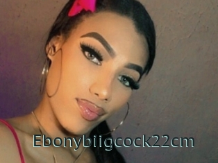 Ebonybiigcock22cm