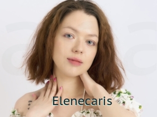 Elenecaris