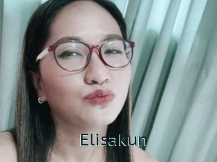 Elisakun