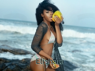 Elishara