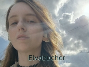 Elvabucher