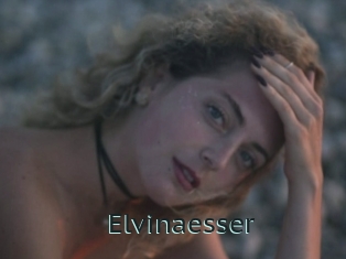 Elvinaesser