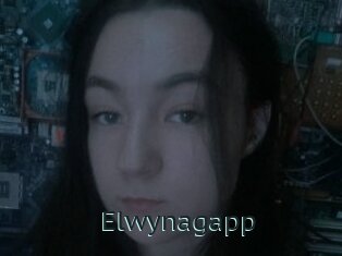 Elwynagapp