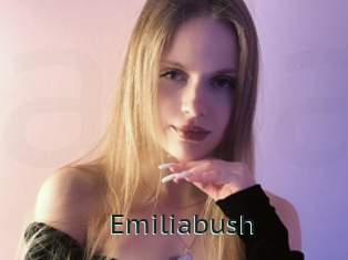 Emiliabush