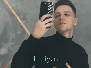Endycor