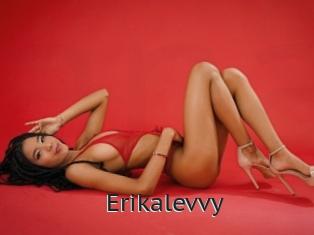 Erikalevvy