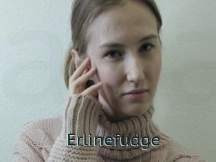 erlinefudge Anal X