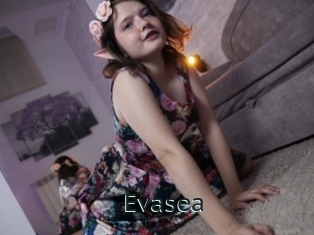 Evasea