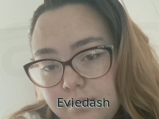 Eviedash