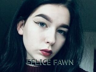 FELICE_FAWN