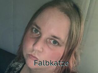 Falbkatze