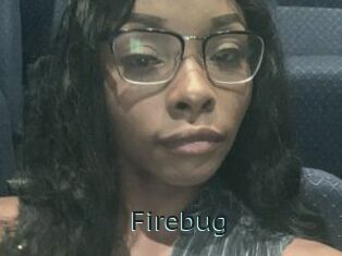 Firebug