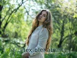 FlexibleKatrin