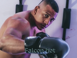 Falcon_hot