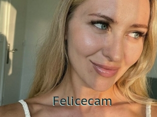 Felicecam