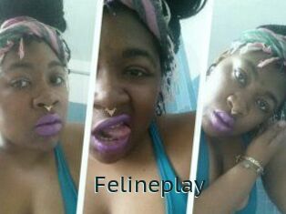 Felineplay