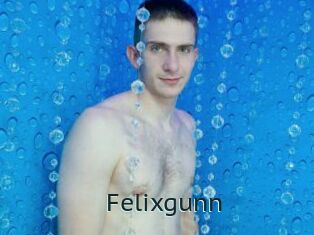Felixgunn