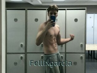 Fellixgarcia