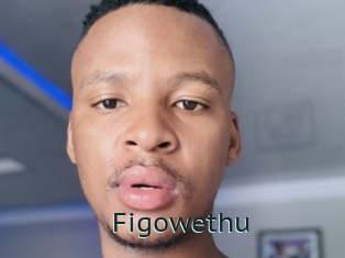 Figowethu