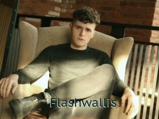 Flashwallis