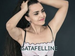 GATAFELLINE