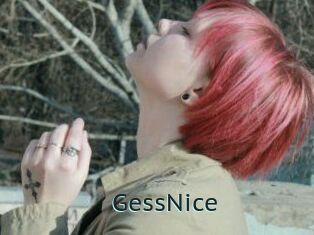 GessNice Anal X